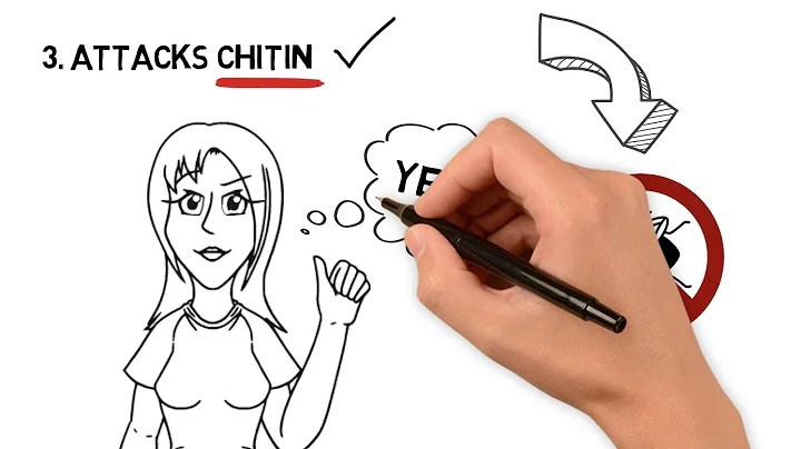 How to SimpliFly Your Life