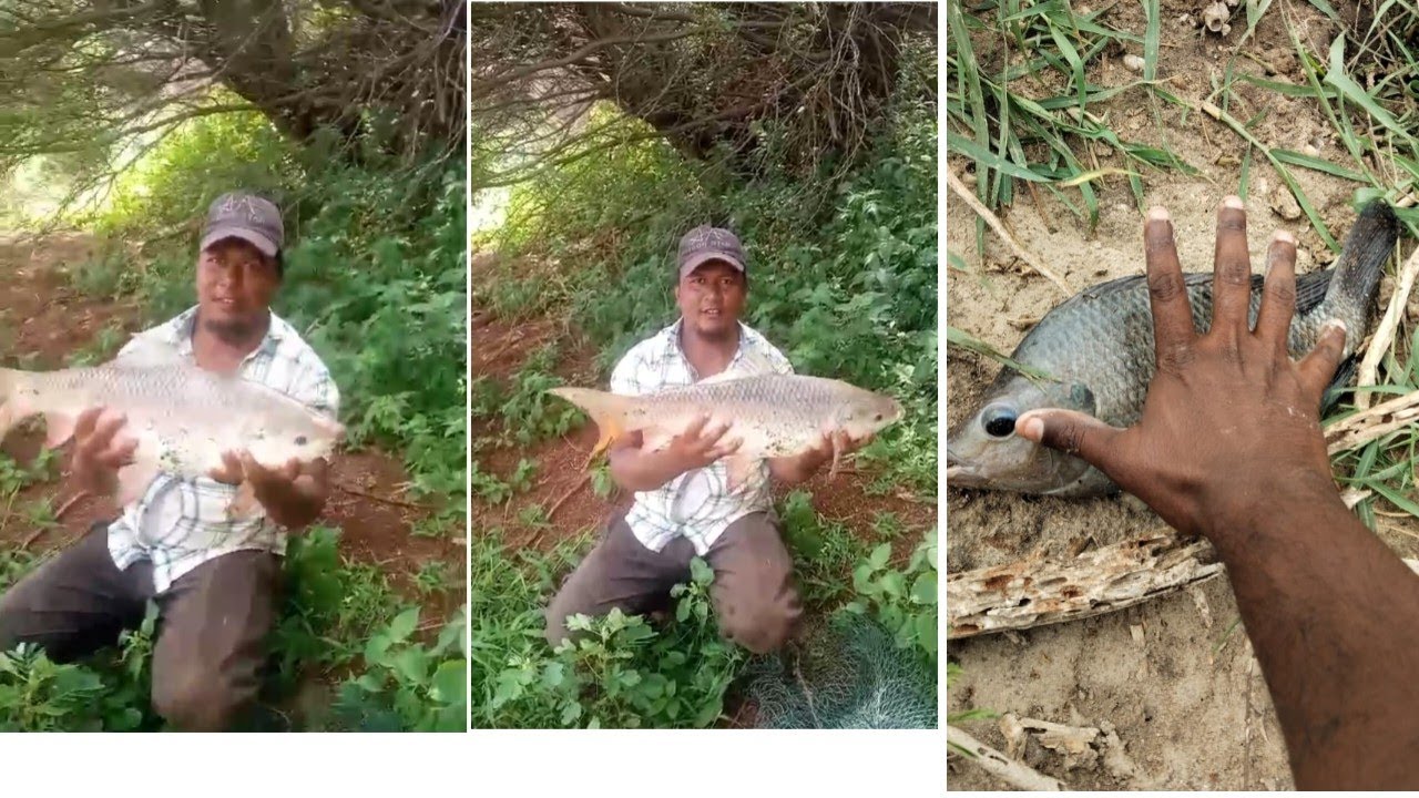 Big Raho fish in sing ka shikar - YouTube