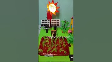 solar powered irrigation working model - #shorts  - howtofunda