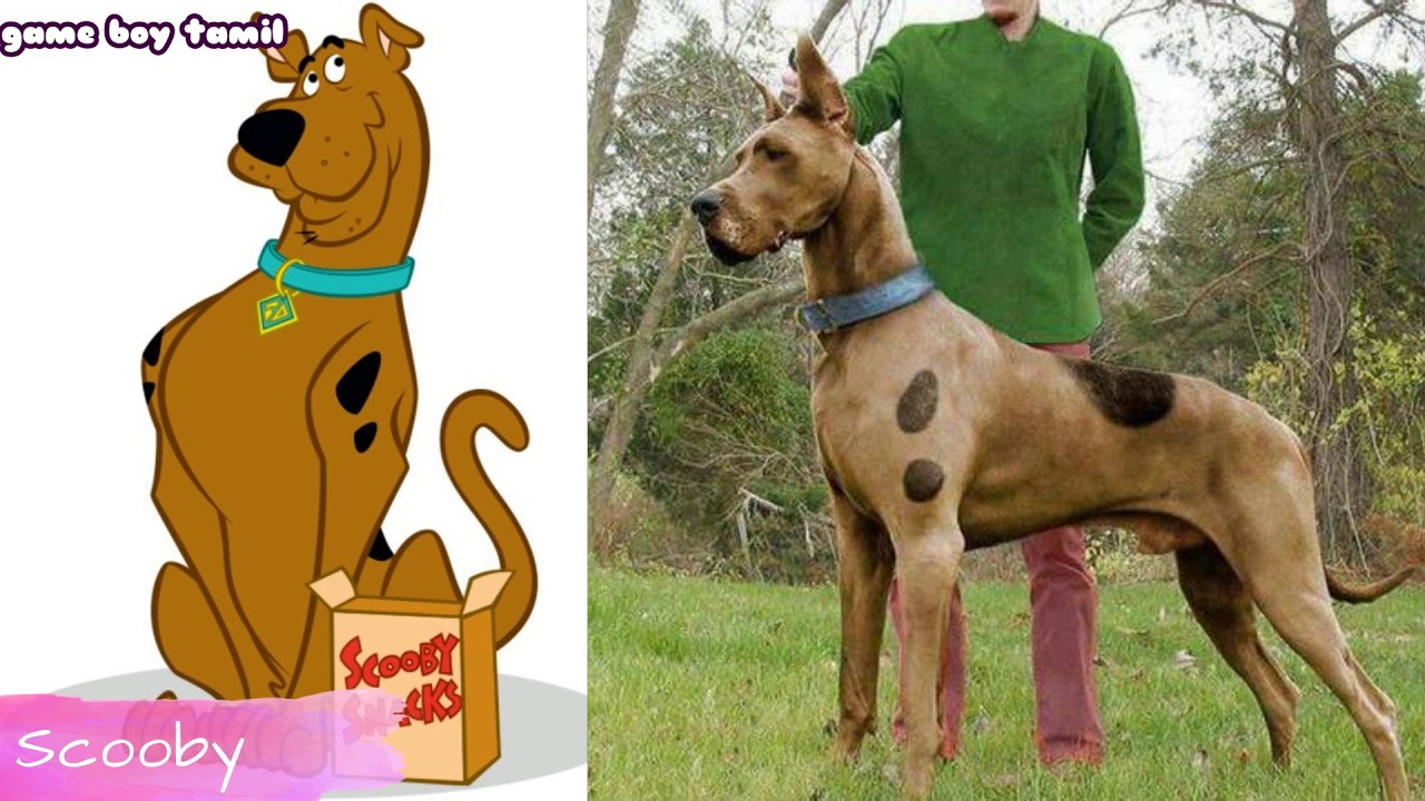  Scooby  Doo  Characters In Real  Life  YouTube