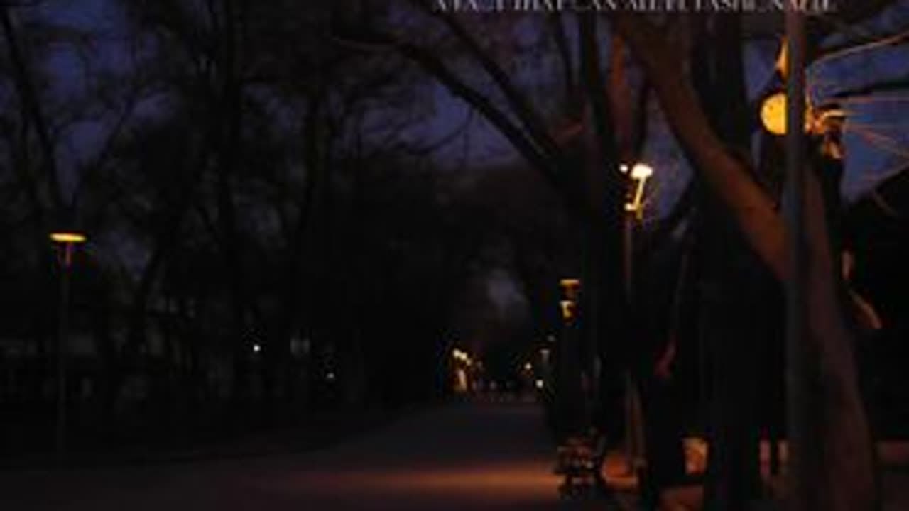 Night Beats - Caught or Free饶过自己，就可以看到自由。