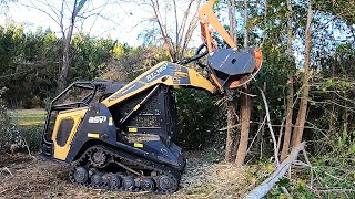 DEVELOPER IN DISBELIEF AFTER RECLAIMING HIS PROPERTY FROM NIGHTMARE OVERGROWTH!