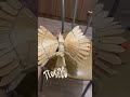 Птица счастья в простонародье)а вообще это щепная птица…