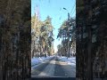 Winter Wonderland Drive in Russia ❄️ Snowy Forest Road POV