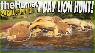 I Hunted Lions For 7 DAYS STRAIGHT And Got Diamonds Galore! Call of the wild