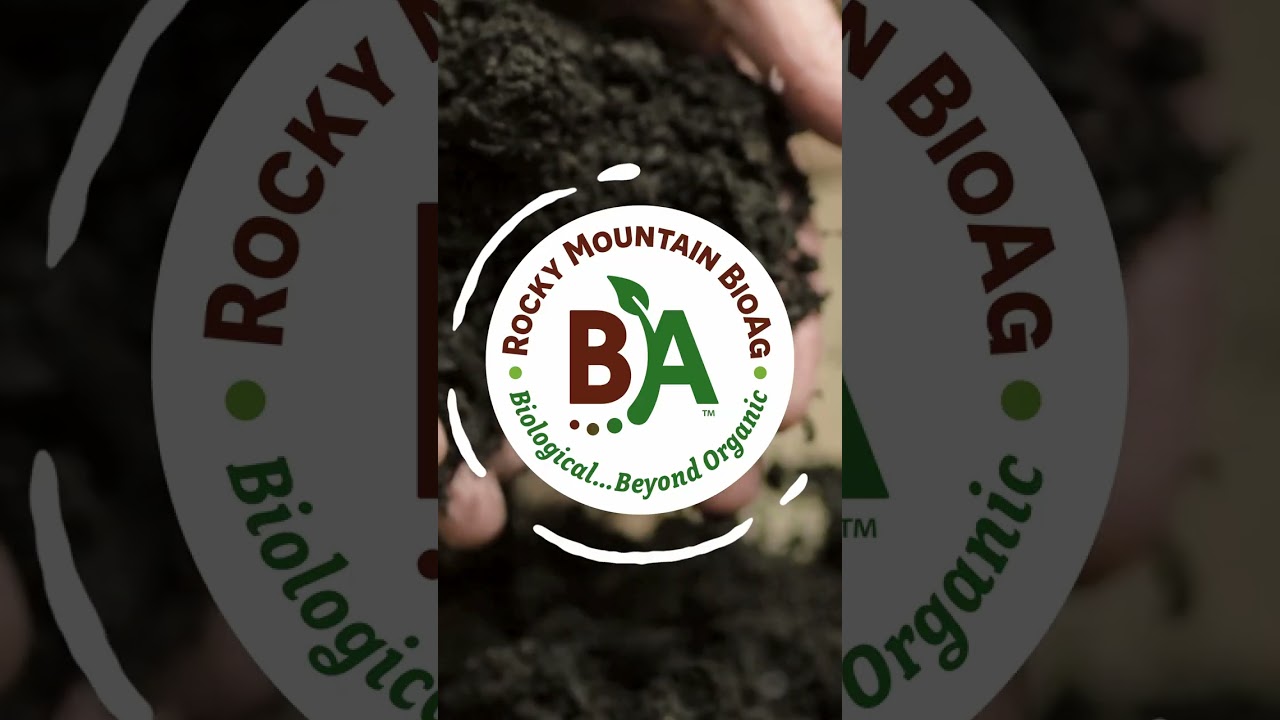 THE SHIFT | Engineer Living Soil