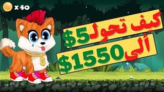 كيف تحويل استثمار 5 دولار الى 1550 دولار فى لعبة Doge dash - افضل عملة رقمية 2022 الربح من الانترنت