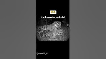 Posting random videos until I get 100k subs Day 10