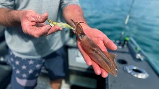 NIGHT FISHING FOR CEPHALOPODS