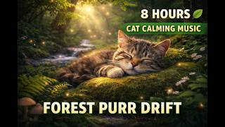 8 HOURS Cat Calming Music 🌿 Forest Purr Drift | Relaxing Sounds for Anxious Cats