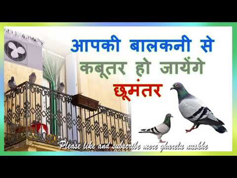 आप भी कबूतरों से हैं परेशान तो जरूर देखिये | how to get rid of pigeon from home |mere gharelu nuskhe