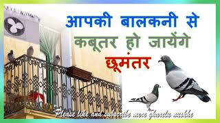 आप भी कबूतरों से हैं परेशान तो जरूर देखिये | how to get rid of pigeon from home |mere gharelu nuskhe