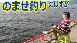 サビキで釣ったイワシでのませに挑戦