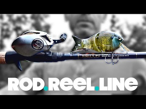 L.N.T.C. (Leave Nothing To Chance) My 'system' (rod, reel & line) for the Black Dog Shellcracker G2.
