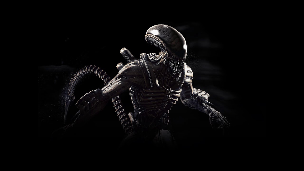 SKOONER RAVE RIDDIM VOL.4