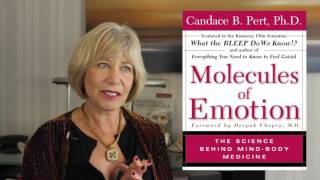 Dr Joan Borysenko (Candace Pert film documentary)