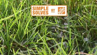 Lawn Care Made Simple | The Home Depot Canada