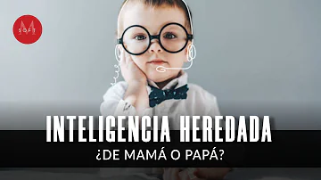 ¿Qué heredan los hijos de sus madres?