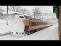 [Heavy Snow Station] 雪の妙高高原駅 Myoko-Kogen Station (信越本線/JR東日本) 201…