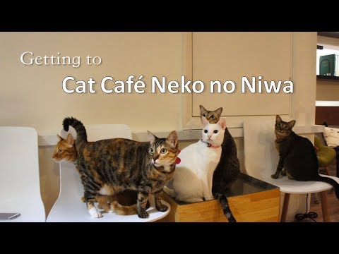 How to get to Cat Cafe Neko no Niwa  from Clarke Quay 