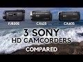 Sony HDR-CX405 vs CX625 PJ820E HD Camcorder test outdoor indoor low light microphone steady shot 50i