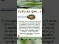 El Orégano Y Sus Beneficios Para La Salud #shorts
