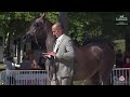 N 103 SHAH MANSURA French Championships 2025 Fillies 2 Years Old Class 2 N 103 SHAH MANSURA French Championships 2025 Fillies 2 Years Old Class 2