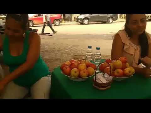 Dia Mundial da Saúde na manhã desta sexta-feira (06/04) em Belo Jardim, PE - YouTube