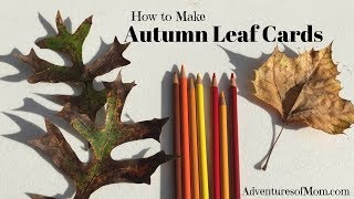 How to Make Autumn Leaf Cards 2 screenshot 3