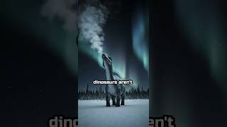 Dinosaurs Lived in Total Arctic Darkness for 4 Months