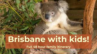 Brisbane with kids: complete 48 hour family itinerary! screenshot 2