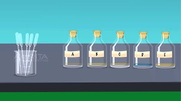 Effectiveness of Different Common Oils in Forming Emulsions - MeitY OLabs