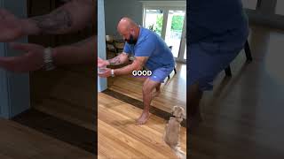 Your Hamstring Did Not Fail You — You Never Trained It For This Position