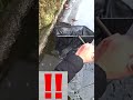 用水路の氷を割ると、いきなり大物が出現！！！