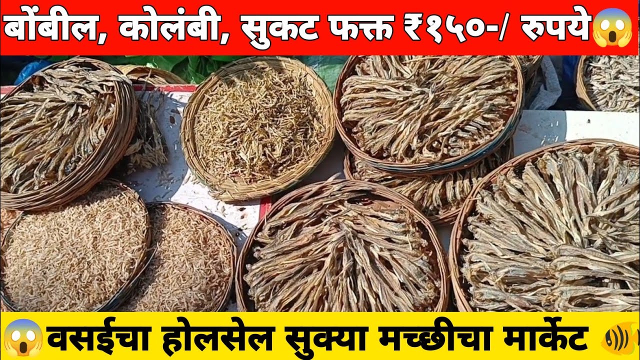 😱सुके बोंबील, सुकट, मांदेली फक्त ₹150 रुपये | वसईतील होलसेल सुक्या मच्छीचा मार्केट | Dry Fish Market