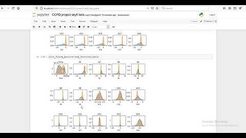 Credit Card fraudulent detection project using machine learning-Project assignment for Skyfi Labs .