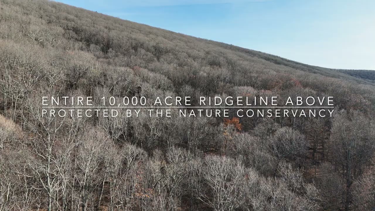 10 Acres - Charlie Bird Lane - Hot Springs, Virginia