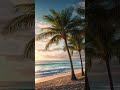 おはようございます✨やさしいウクレレと朝の波音🌊
