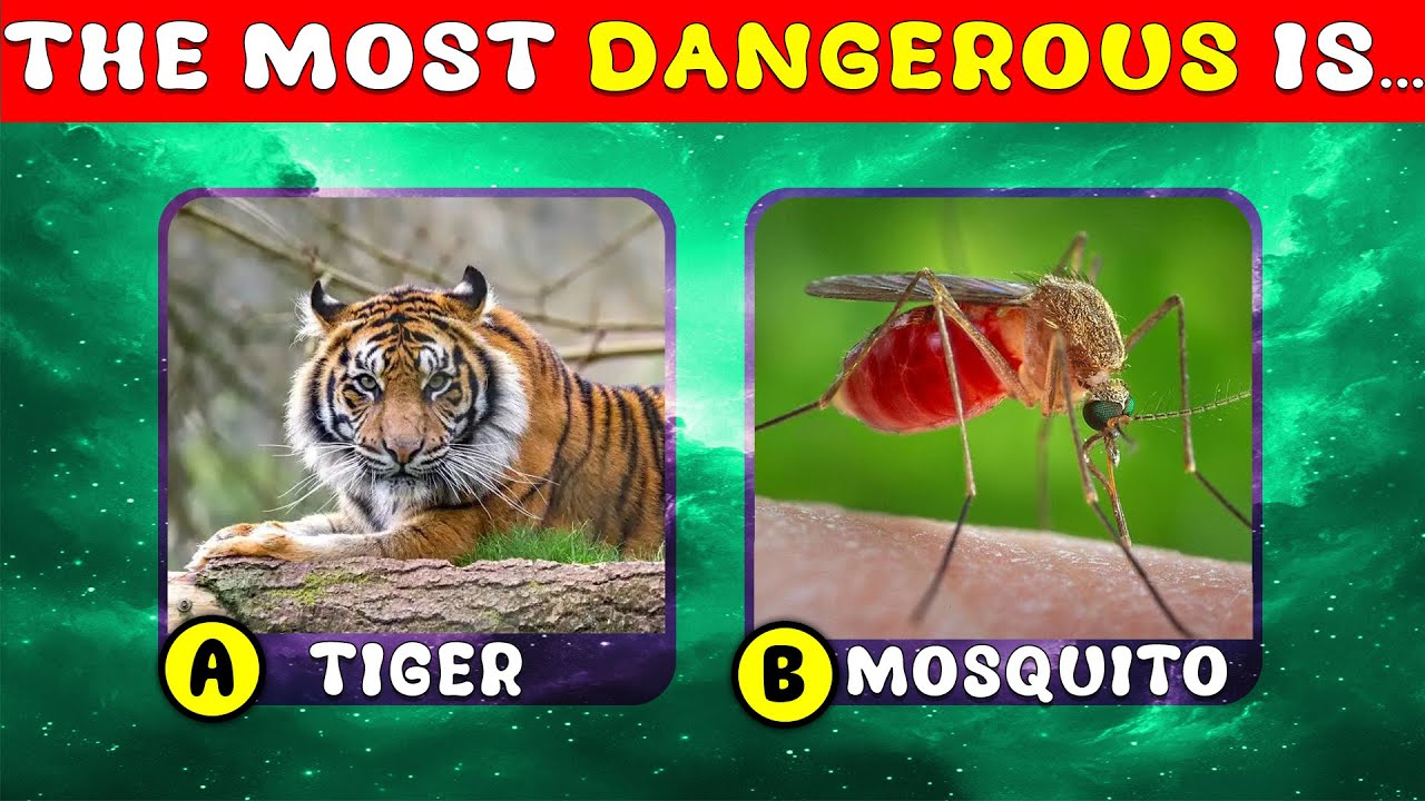 How Good Is Your Knowledge of ANIMALS? 🐅🦟✅ General Knowledge Trivia Quiz