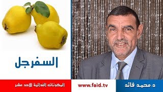 السفرجل فاكهة الخريف | الدكتور محمد فائد