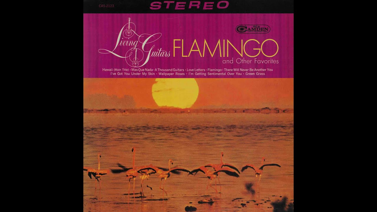 Living Guitars — Flamingo (01/10) / Flamingo and Other Favorites