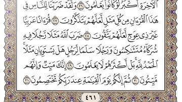 سورة الزمر / محمد صديق المنشاوي