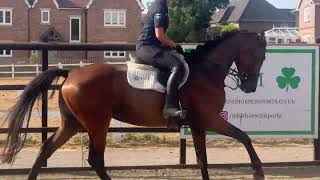 Jump/ Flatwork