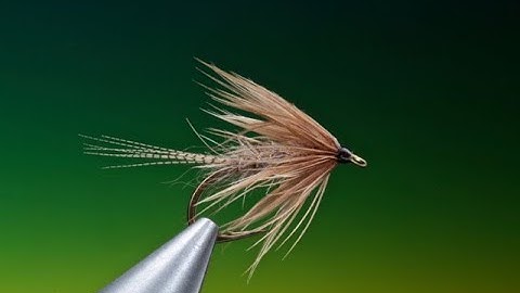 Fly Tying a Hares Ear soft hackle wet fly with Barry Ord Clarke