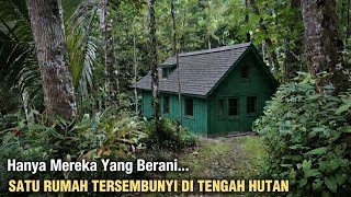 Sulit Dipercayaketemu Satu Keluarga Puluhan Tahun Hidup Di Tengah Hutan