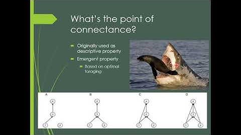 10B   Food web connectance