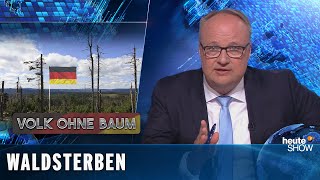 Der Regenwald brennt und der deutsche Wald stirbt vor unseren Augen