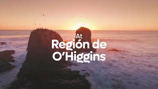 Visit the O'Higgins Región - "It is natural to visit us"