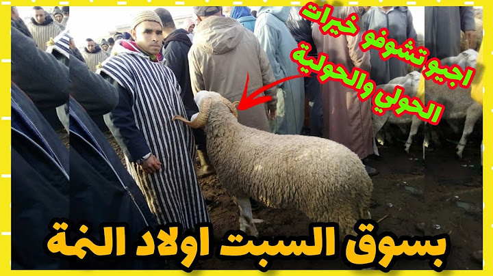 هالجديد 🔥اجيو تشوفو الخيرات لي دخلات اليوم من الحولي والحولية بسوق السبت اولاد النمة