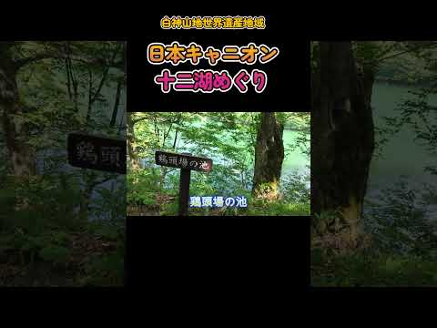 ドローン空撮をお届けします #ドローン空撮#日本キャニオン#十二湖めぐり